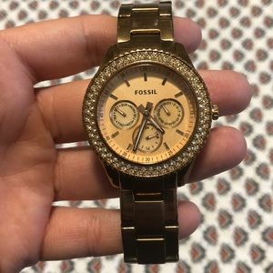 Fossil Watch
